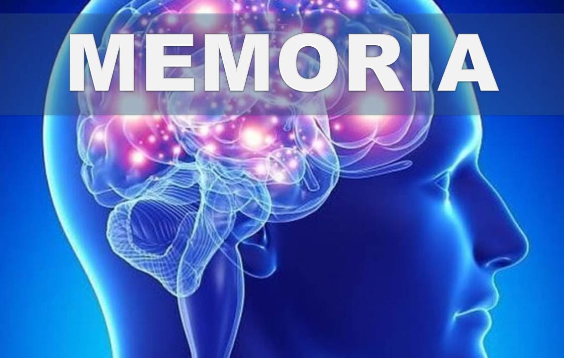 Cómo alimentar tu memoria. | Julio Guerra / Academias de ...